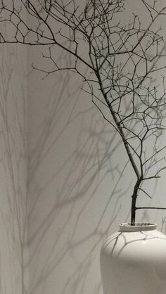 a white vase sitting on top of a wooden table next to a tree with no leaves