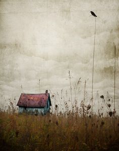 an old abandoned house in a field with a bird flying over the top of it