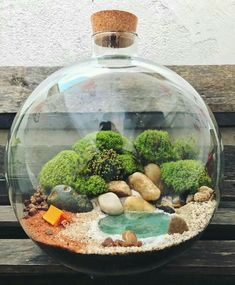 a fish bowl filled with plants and rocks on top of a wooden table next to a wall