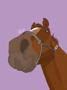 a brown horse wearing a bridle on top of it's head