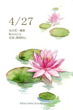 water lilies floating on top of lily pads in a pond with the words, 4 / 27