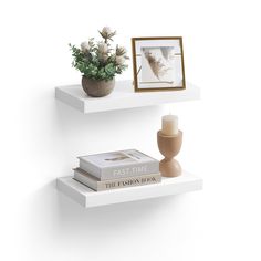 two white shelves with books and vases on each shelf, one holding a plant