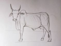 a drawing of a cow standing in the middle of a room with no one on it