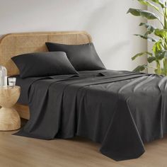 a bed with black sheets and pillows in a room next to a potted plant