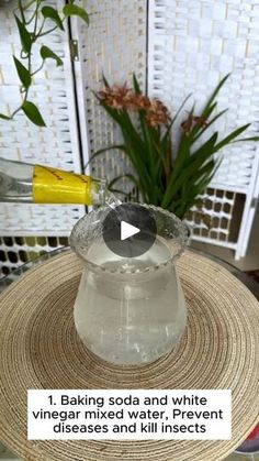 a video demonstrating how to use vinegar for baking soda and white vinegar mixed water, prevent diseases and kill insects