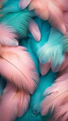 many pink and blue feathers are arranged together