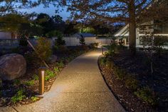 a walkway lit up with lights in the night time, next to a house and trees