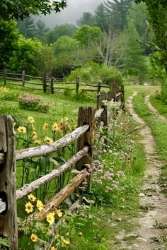 a wooden fence in the middle of a field with flowers growing on it and trees