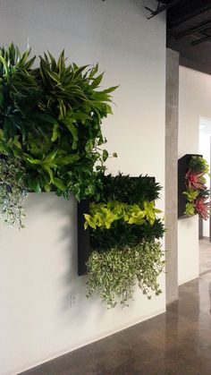 a wall mounted planter on the side of a white wall in an office building