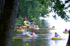 many people are in the water on rafts and floating down a river with trees