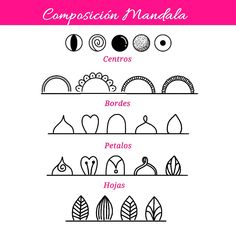 the different types of plants and their names are shown in this graphic diagram, which shows how