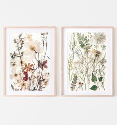 two framed floral prints on a white wall