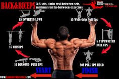 the back and chest muscles are shown in this graphic above it is an image of how to