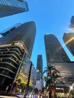 some very tall buildings in the middle of a city at night with street lights and palm trees