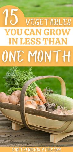 a basket full of vegetables with text overlay that reads 15 veggie tables you can grow in less than one month