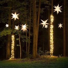 lighted trees in the woods at night with stars hanging from them