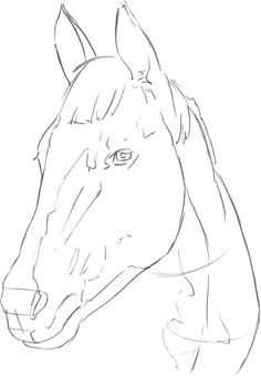 a horse's head is shown in this drawing