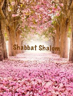 the words shabat shaom are surrounded by pink flowers and trees with leaves on them