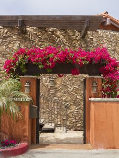 a stone building with pink flowers growing on it's sides and stairs leading up to the entrance