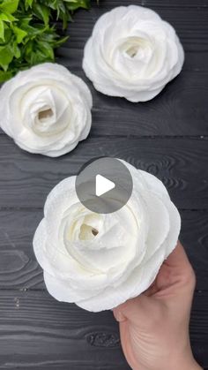 three white flowers are being held up by someone's hand on a black table