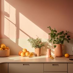 some oranges and lemons are sitting on a counter