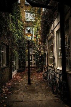 an alley way with lots of ivy growing on the buildings and bicycles parked in front