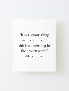 a quote from mary ollverr on it's white background