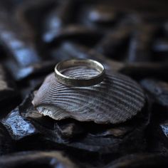 a silver ring sitting on top of a shell