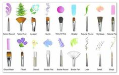 various types of makeup brushes are shown in this image, with different colors and sizes