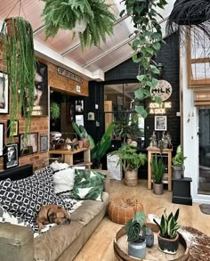 a living room filled with lots of plants and furniture