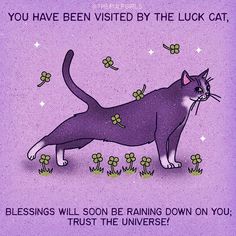 a purple card with a cat on it saying, you have been visited by the luck cat