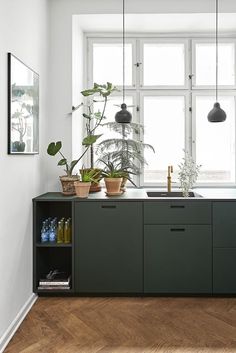 a kitchen with green cabinets and potted plants in the window sill next to it