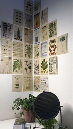 there are many plants and pictures on the wall