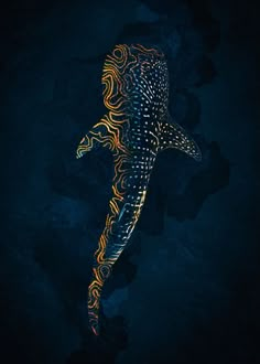 Blue Whale Shark Tattoo, Whale Shark Wallpaper Iphone, Whale Shark Sketch, Whale Shark Painting, Ocean Life Art, Shark Tattoo