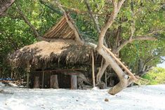 a hut in the middle of some trees on a sandy beach with white sand and blue water