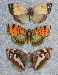 three butterflies with different colors sitting on top of a white towel next to each other