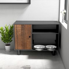 two bowls sit in front of a wooden cabinet next to a potted green plant