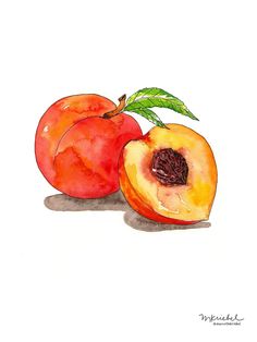 two peaches are shown on a white background