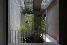 an indoor courtyard with plants growing on the railings and in between two buildings, there is a skylight