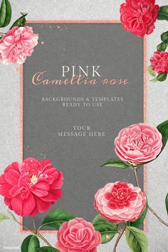 pink flowers with green leaves surrounding them on a black and white background that reads, pink camellia rose background & templates ready to use