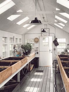 an open kitchen with lots of plants in it