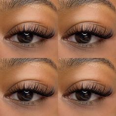 C Curl Classic Cat Eye Lashes! Volume Russe, Cat Eye Lashes, Classic Cat Eye, Lashes Tutorial, Soft Makeup Looks