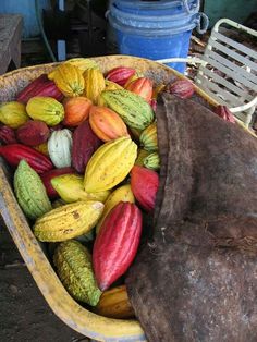 a wheelbarrow filled with lots of different types of fruit