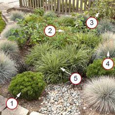 the steps lead up to an outdoor garden with plants and rocks in front of it