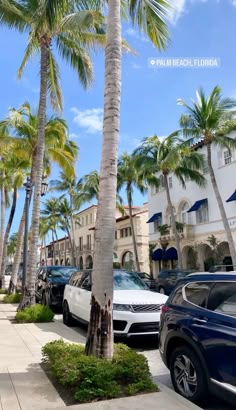 cars parked on the side of a street next to palm trees