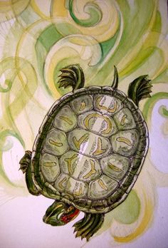 a drawing of a turtle with money on it's back