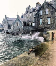 a dog is playing in the water near some buildings and a body of water that has just come out of it