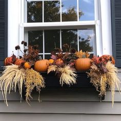 a window sill filled with pumpkins and gourds in front of a house