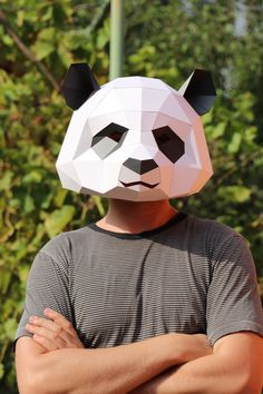 a man wearing a panda mask with his arms crossed