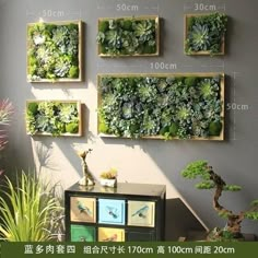 the wall is covered with green plants and hanging on it's sides, as well as small wooden boxes